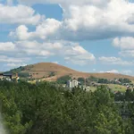 Zlatiborview Apartment 1